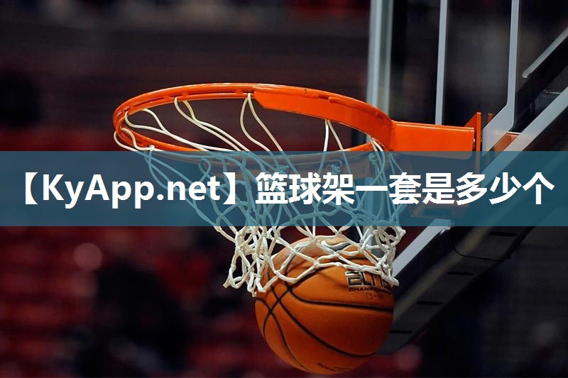 篮球架一套是多少个