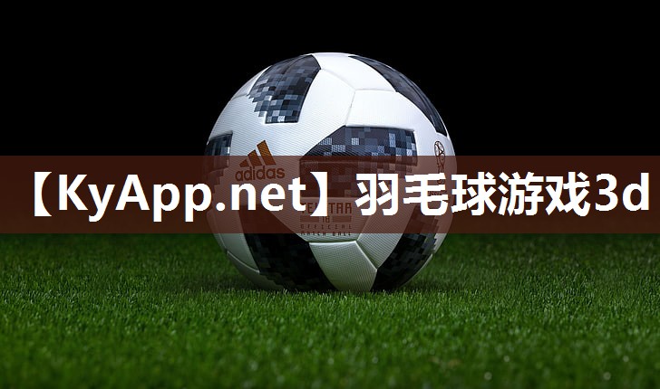 羽毛球游戏3d