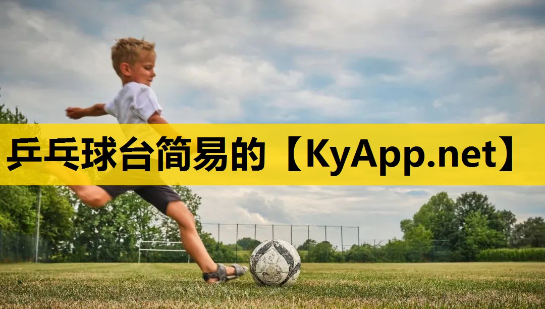 乒乓球台简易的 乒乓球台简易的