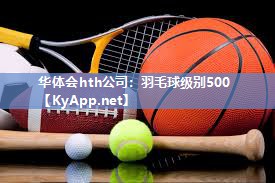 羽毛球级别500 羽毛球级别500