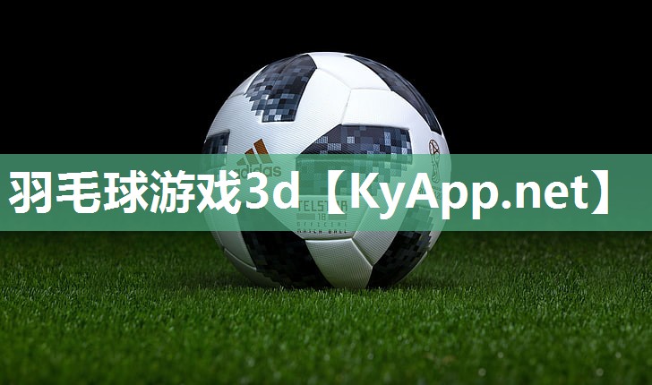 羽毛球游戏3d 羽毛球游戏3d